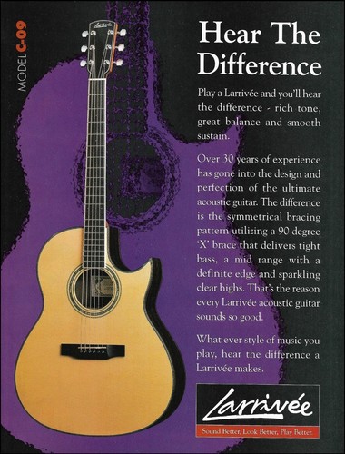 Larrivee model acoustic - model,
