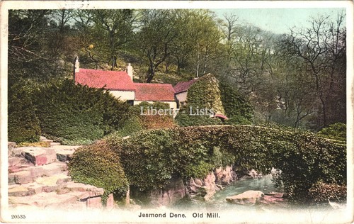 Jesmond dene old mill - jesmond,