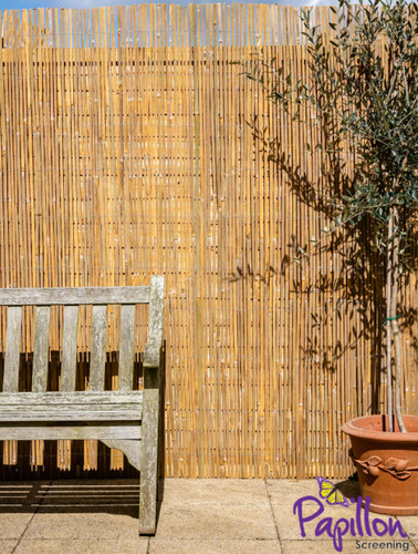 Bamboo slat natural fencing - natural,