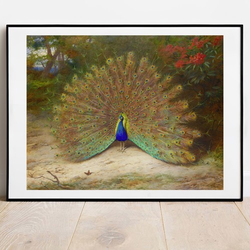 Archibald thorburn print - archibald,