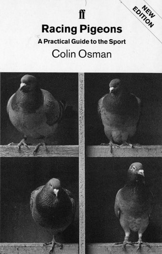 Racing pigeons osman colin - pigeons,,