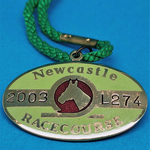 Newcastle horse racing ladies - newcastle,