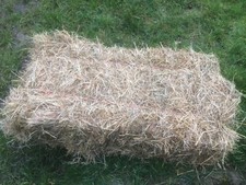 Quality small bales hay - small,