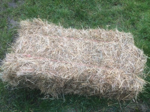 Quality small bales hay - small,