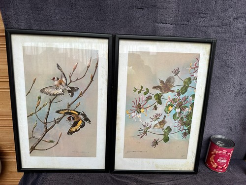 Vintage pair framed basil - vintage,
