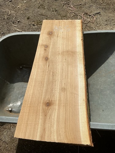 Cedar plank - plank,cedar, slab,cedar