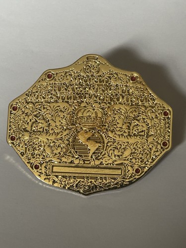 World champion wrestling - world, title