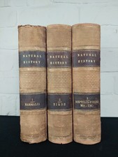 1865-67 The Illustrated