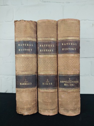 1865 the illustrated - the,