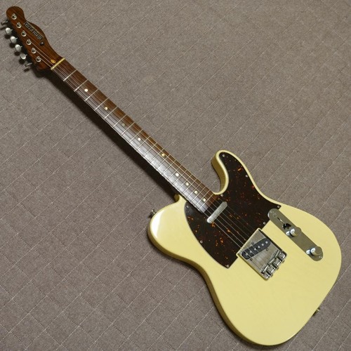 Evolution telecaster rose - 1p,