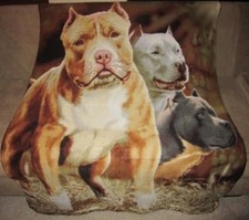 New Pitbull Terrier Soft