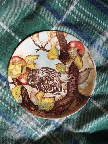 Coalport little owl stack - owl", (stack