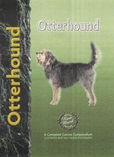 Otterhound-Juliette Cunliffe