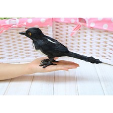 Realistic Magpie Bird Outdoor