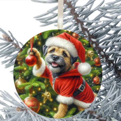 Border terrier dog hanging - border,