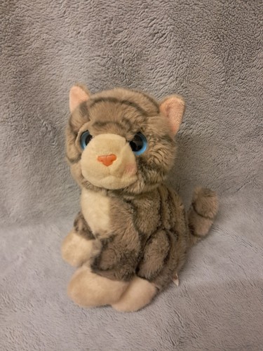 Posh paws grey tabby cat - posh,