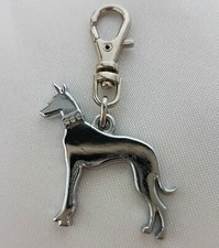 Doberman Pinscher Dog / Puppy