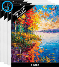 Blank Canvas for Painting (4