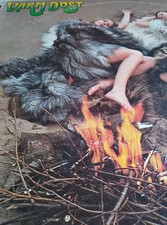 WARM DUST 2LP and it came to