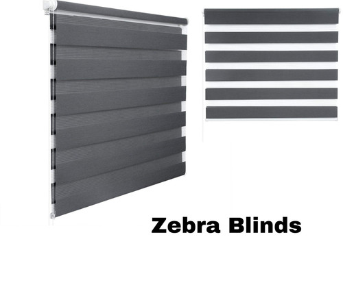 Day and night zebra - and,