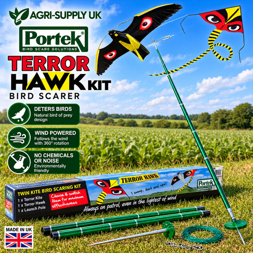 Portek terror hawk - terror, bird