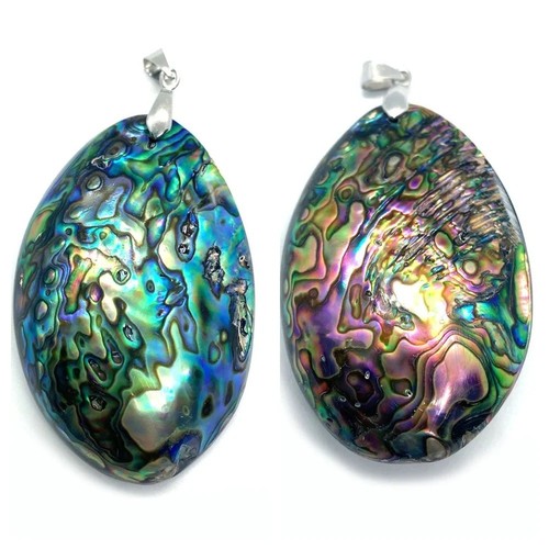 Seashell abalone shell pendant - seashell,
