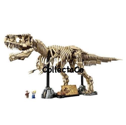 Dinosaur fossils - dinosaur,