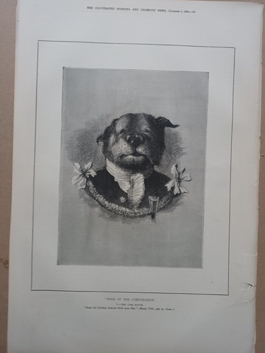 Dogs the corporation lord - corporation,