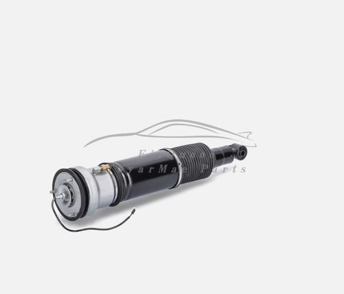 Rear left air suspension - air, strut