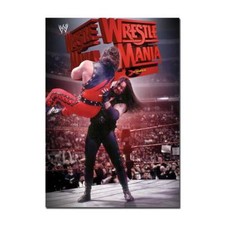 WWE WrestleMania 14 Poster |