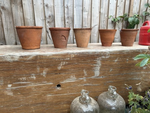 Vintage terracotta plant pots - vintage,
