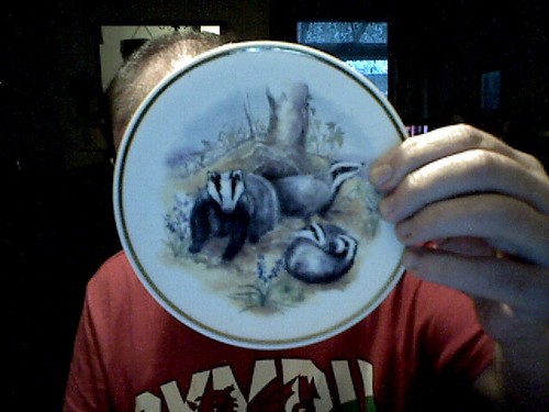 Wildlife badger plate - badger,