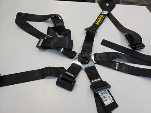 6pt harness profi 2x2 - 6pt,