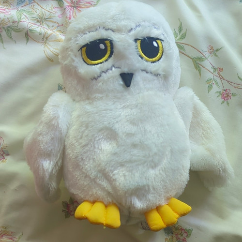 Harry potter hedwig white - harry,