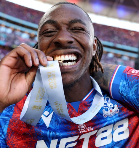 Crystal palace fa cup - crystal,