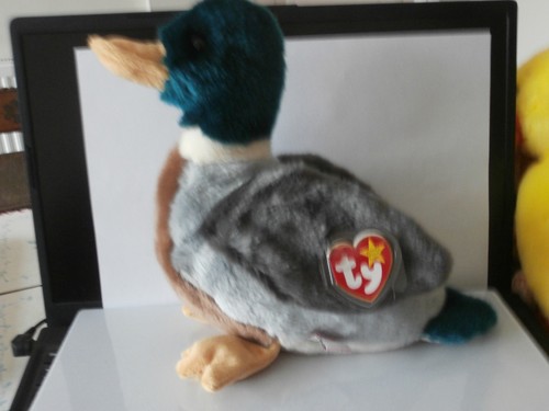 Beanie buddy buddies - beanie,