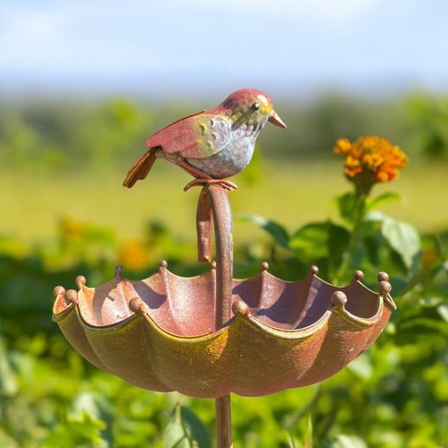 Bird garden feeder birdbath - feeder,