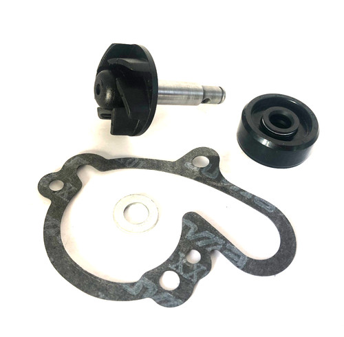 Yamaha 125 tdr - water, pump