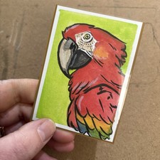 Aceo parrot scarlet - parrot, macaw
