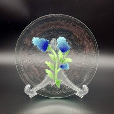 Fused Glass Plate Clear With