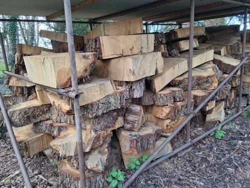 Large oak slabs chunks - large, from