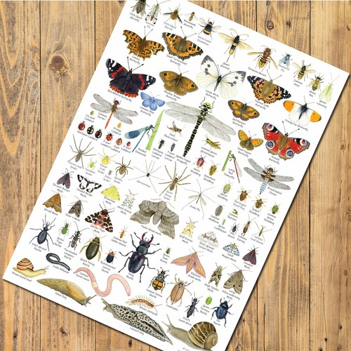 British bugs art prints - bugs,