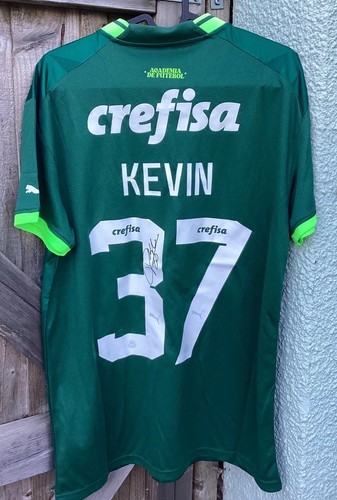 Palmeiras 2023 home shirt - palmeiras,