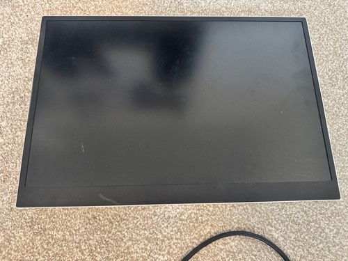 Portable monitor - lg,