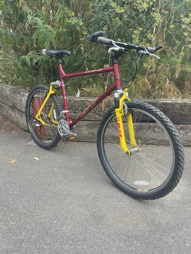 Lts mountain bike early - gt,