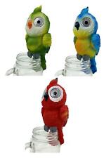 Parrot / Tropical Bird Solar