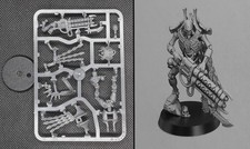 Necron Royal Warden -