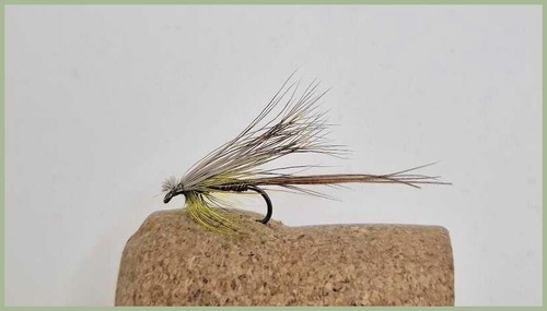 Barbless hatching mayfly - barbless,
