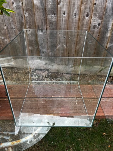 Breeding fish discus tank - breeding,