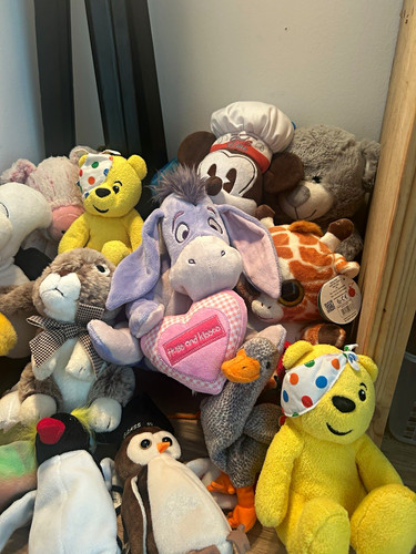 Large bundle teddy bears - large, of